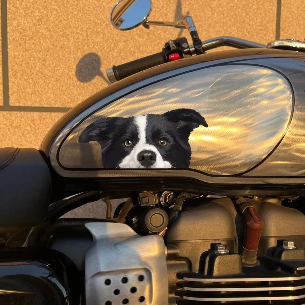 Waterproof Border Collie Stickers for Luggage & Car Windows