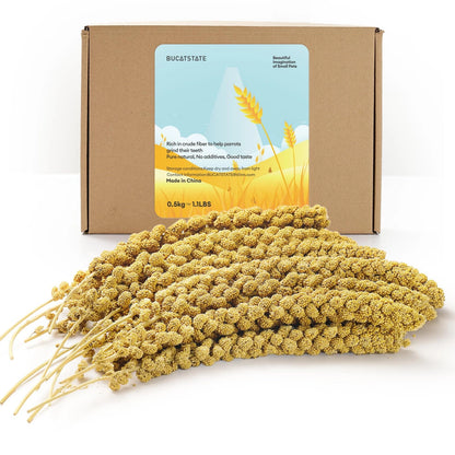 Spray Millet for Birds - Sun-Dried Healthy 1.1 Pound (Pack of 1)