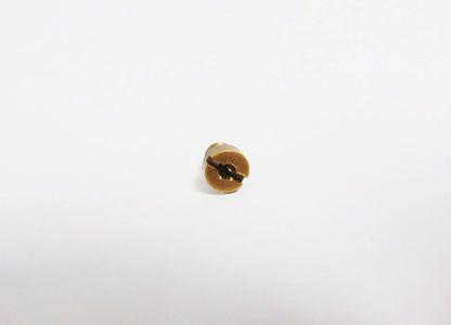 OEM Jet 243160 for Tomos Moped (READ LISTING)