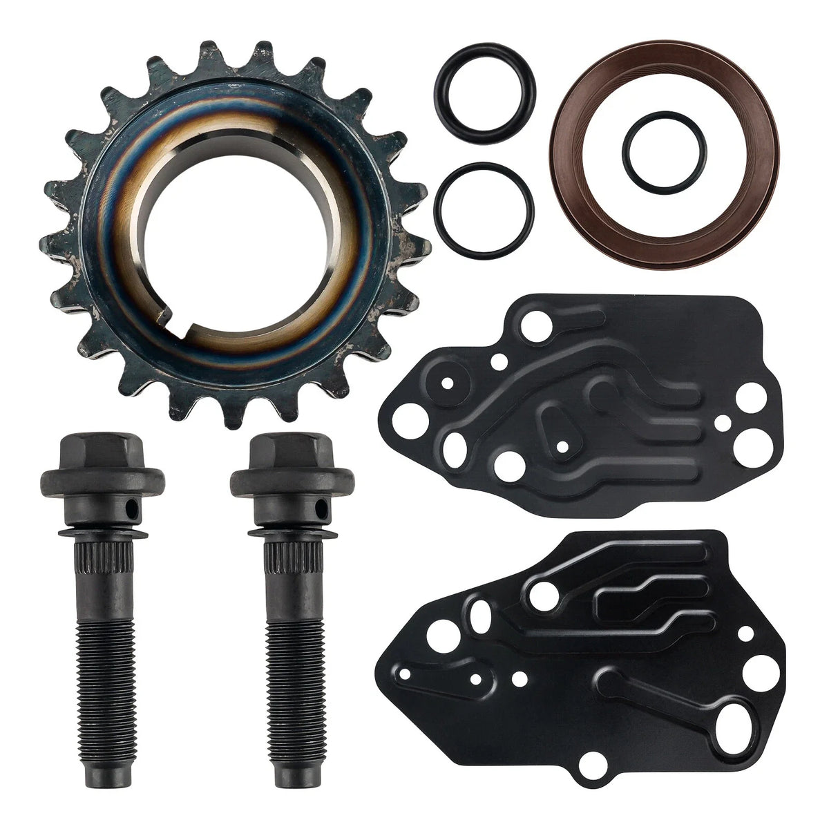 Timing Chain Kit and Oil Water Pump for Ford F-150 (2015–2020)