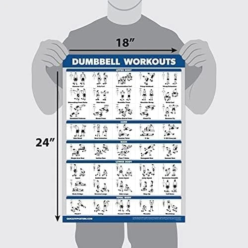 Dumbbell Workout Exercise Poster for Free Weight (18" x 24")