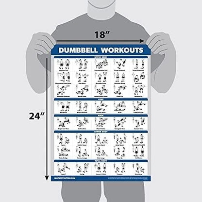 Dumbbell Workout Exercise Poster for Free Weight (18" x 24")