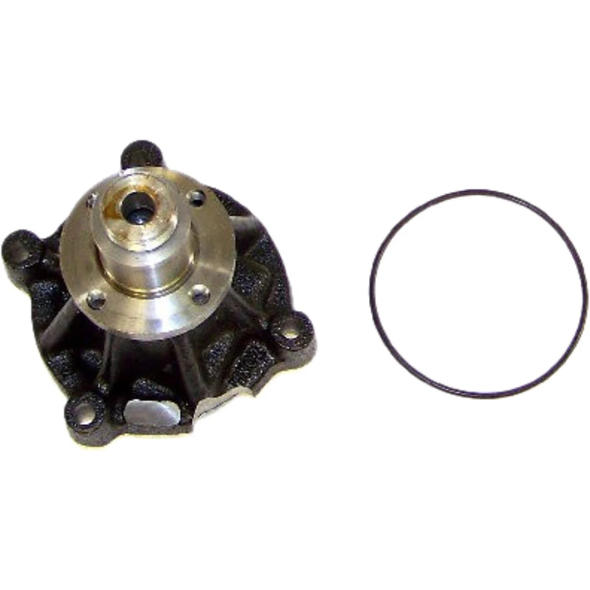 WP4176 Water Pump for Ford F-150 Heritage (2000–2004)