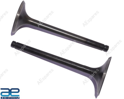 Engine Valve Kit for Royal Enfield Meteor Hunter Bullet Classic 350 (RLF00016, RLF00015, 1570177)