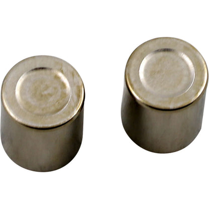2X Brake Caliper Piston Kit for Honda (1702-0476)