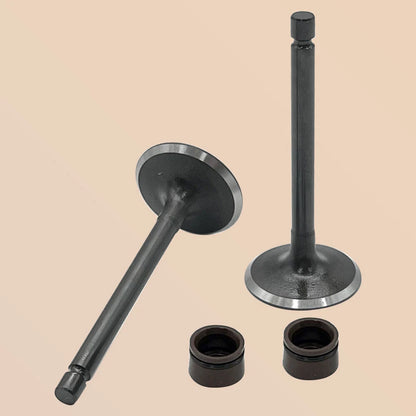 Engine Intake & Exhaust Valves Kit for Yamaha TTR125LE (2003–2018) 5VL-E2111-00-00, 5HH-E2121-00-00