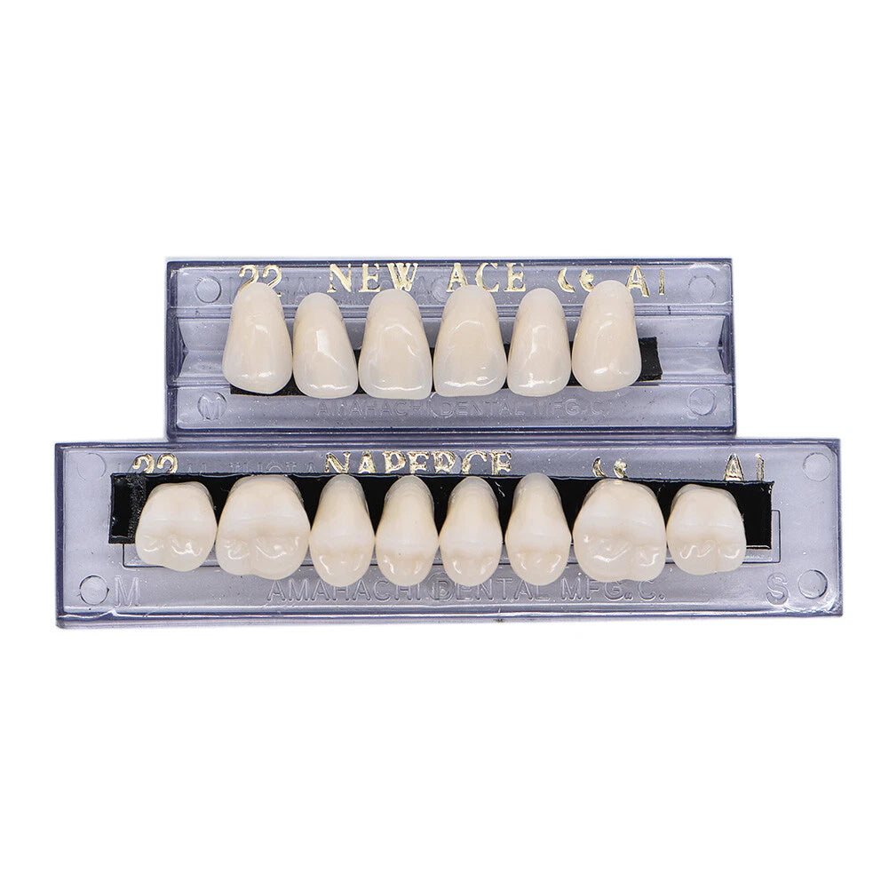 168PCS Acrylic Resin Denture Teeth Set Upper Lower Shade A1