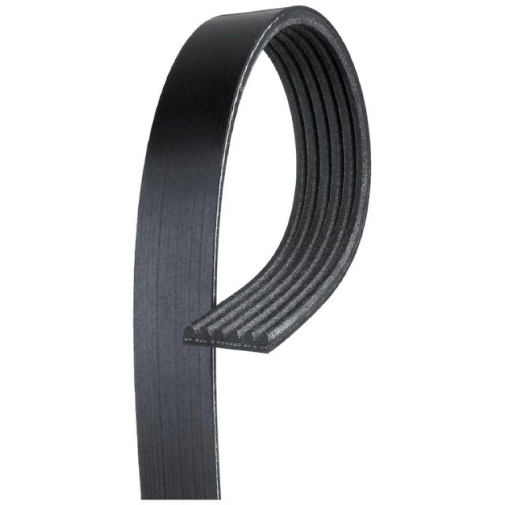 Serpentine Belt for Buick LaCrosse (2010–2013) OLX-ACD6K956-CL360A56