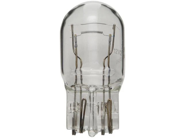 Tail Light Bulb for Jeep Gladiator (2020–2022) 51396ZCMP
