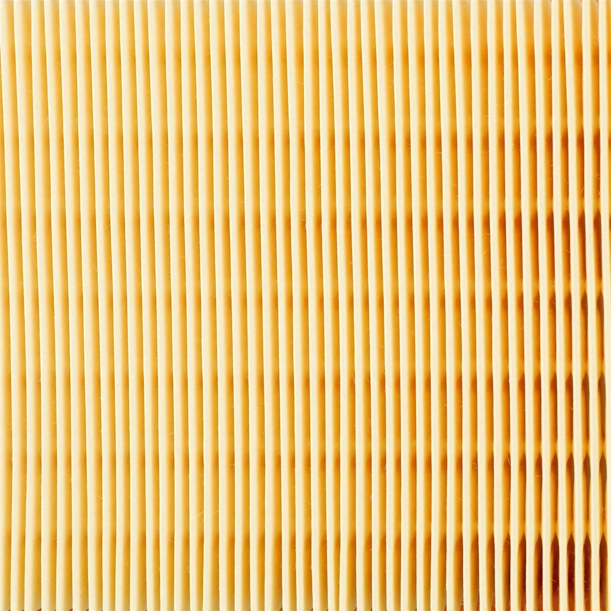 Air Filter for Mini Cooper Paceman Countryman (2011–2014, 2016) 17987769, CA10693, AF3219