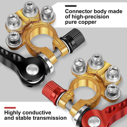 Battery Terminal Connectors for Zrigiwr (1 Pair)