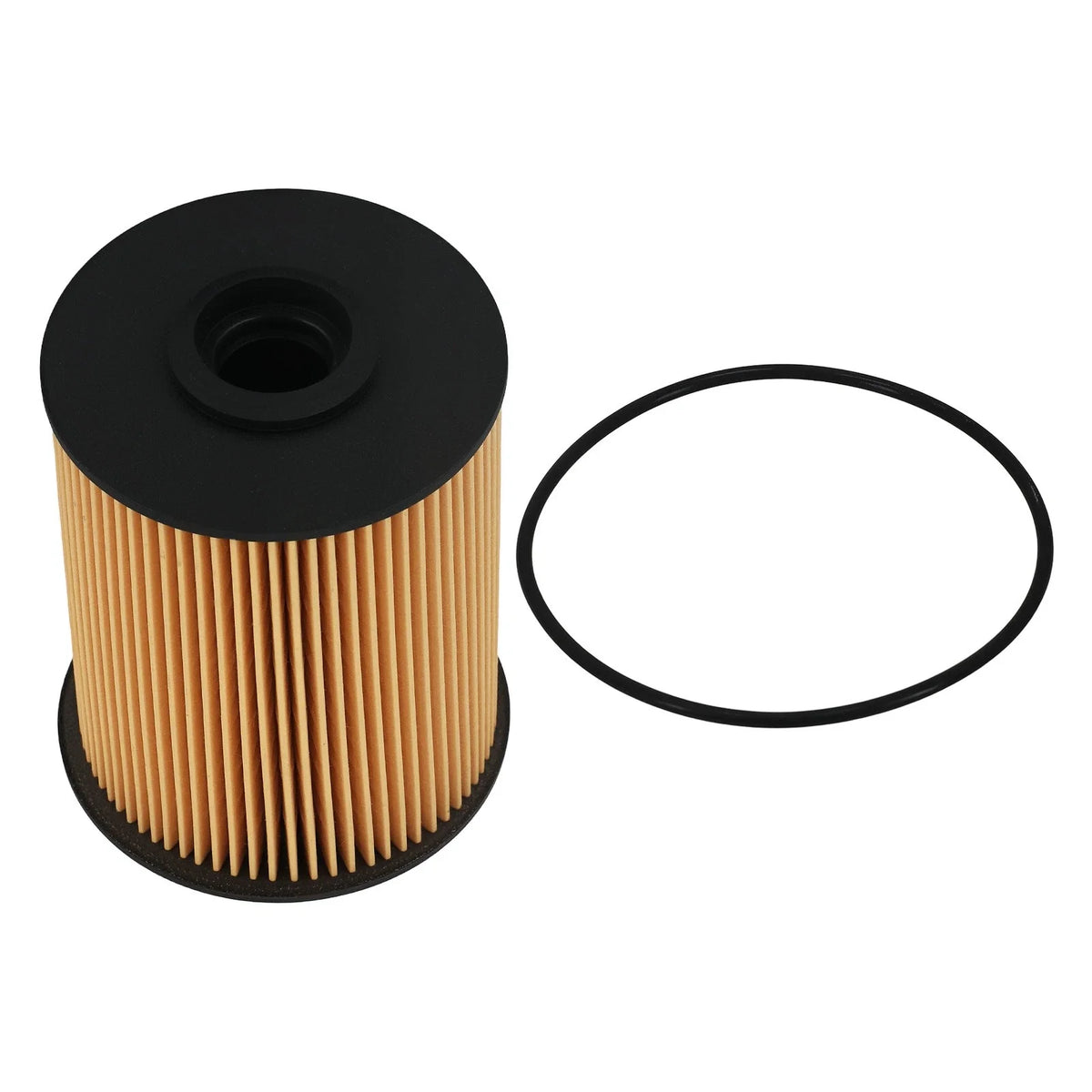 Fuel Filter for Blue Bird Dodge Ford (1997–2016) 68001914AA FS19856 4935205