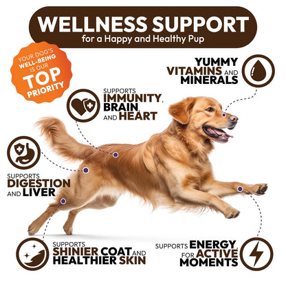 2 Pack Turkey Tail Mushroom Chews for Dogs - 340 Chews, Multivitamin