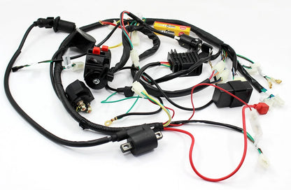 Wiring Harness for GY6 125cc 150cc ATV Scooter (Stator Solenoid)