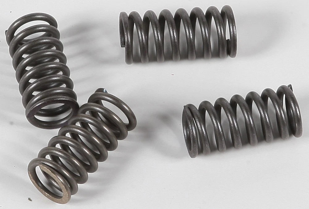 Clutch Spring Set for EBC (CSK47)
