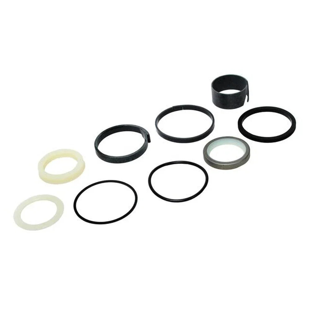 Hydraulic Cylinder Seal Kit for IH Case (G110049)