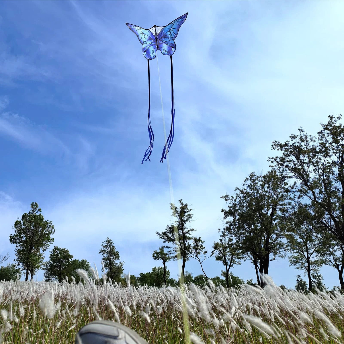X-Large Butterfly Kite for Kids & Adults - Blue/Dark Blue