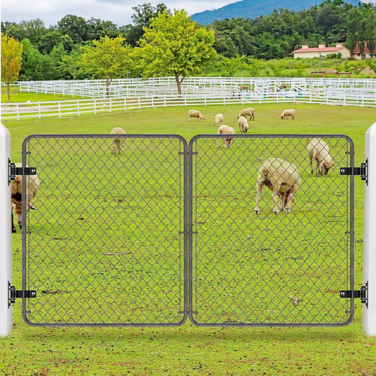 Set of 4 Heavy Duty Rust-Resistant Gate Hinges for Wall Mount (1-7/8'')