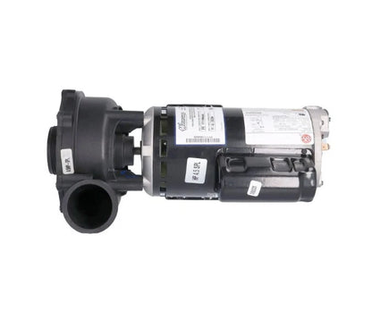 Waterway Executive 4.5 HP Spa Pump 2 Speed 230V 48-Frame