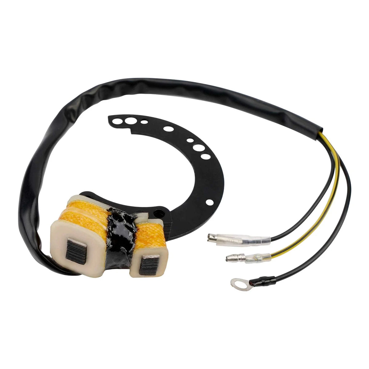 CDI Stator for Mercury Outboards 6/8/9.9/10/15/18/20/25/35/40 HP (174-6617K1)