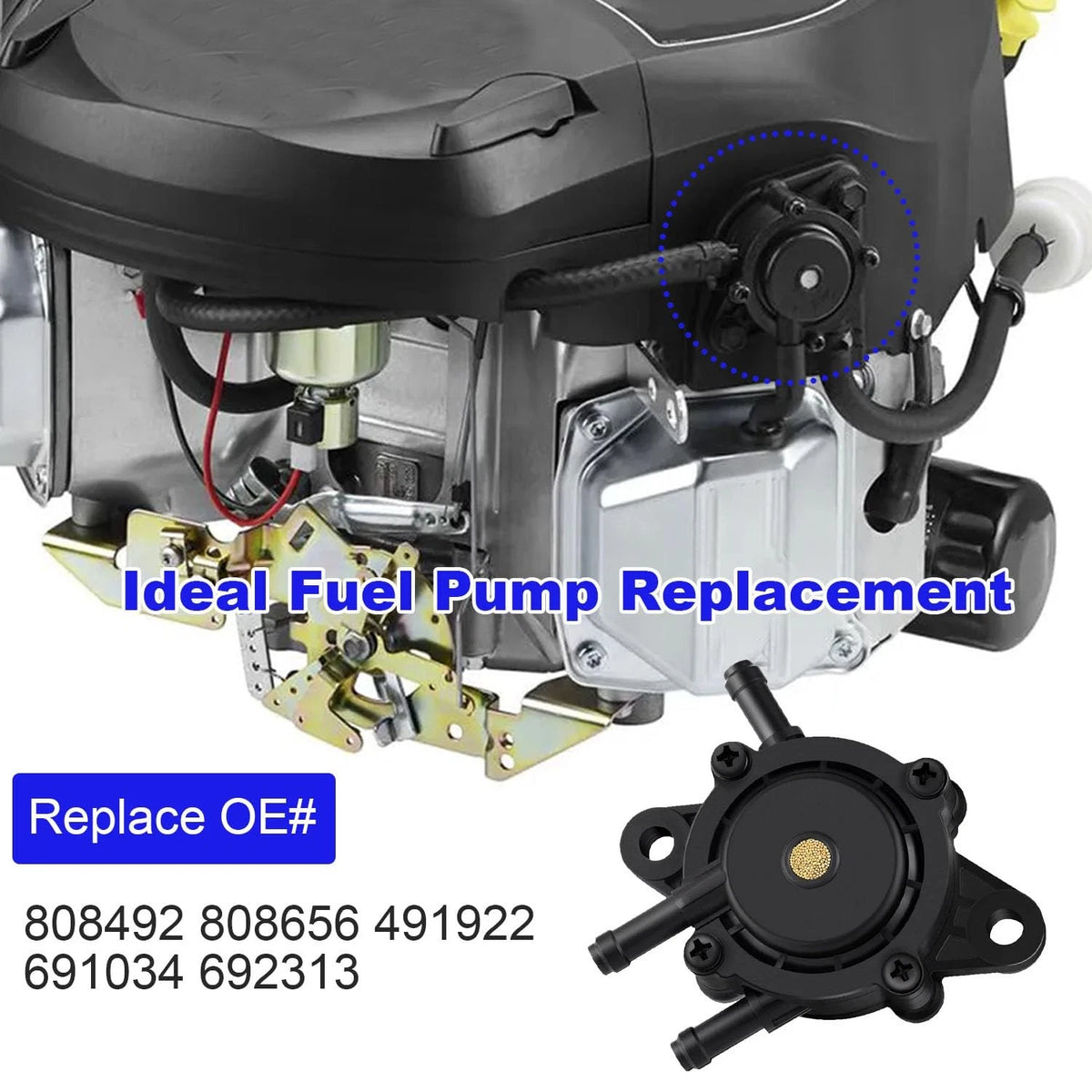 Fuel Pump with Filter for Compatible Vehicles (808492)