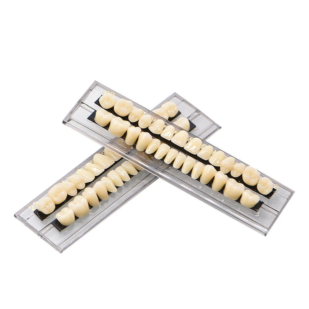 Set of 5 Dental Acrylic Resin Denture Shade #23 A3 Upper Lower Full Set