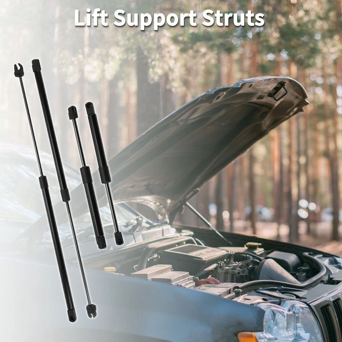 Set of 2 Front Hood & Tailgate Lift Supports Struts for Dodge Intrepid (1998–2004)