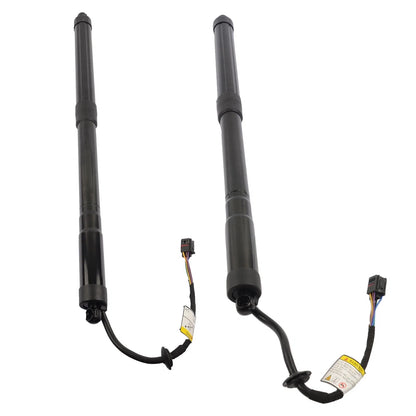 2Pcs Tailgate Lift Support for Hyundai Santa Fe (2013–2019)