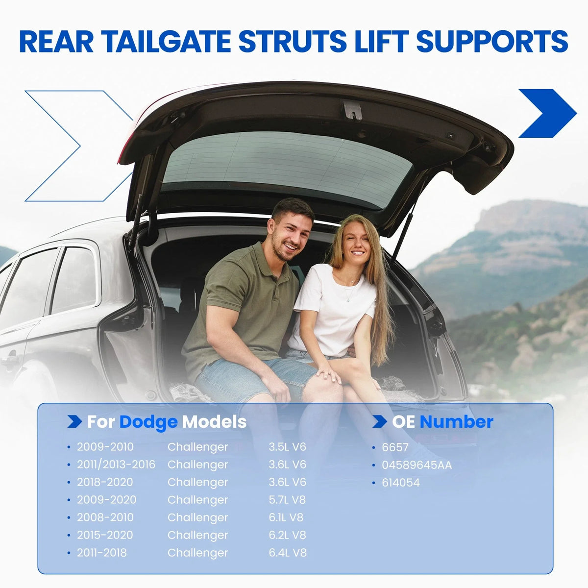 2Pcs Rear Trunk Lift Supports for Dodge Challenger (2008–2021) Coupe