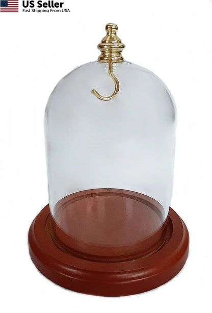 3X 4 Pocket Watch Glass Display Dome Cloche with Gold Knob and Hook