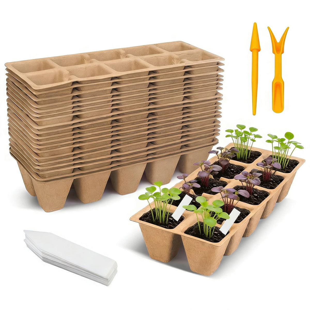 Set of 20 Biodegradable Seedling Trays for 200 Cells