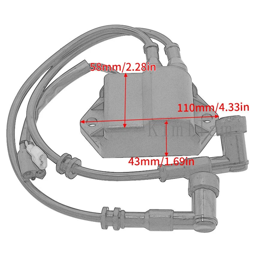 Cdi Unit & Ignition Coil for Suzuki DT5 5HP/6-8HP (32900-98100, 32900-98101)
