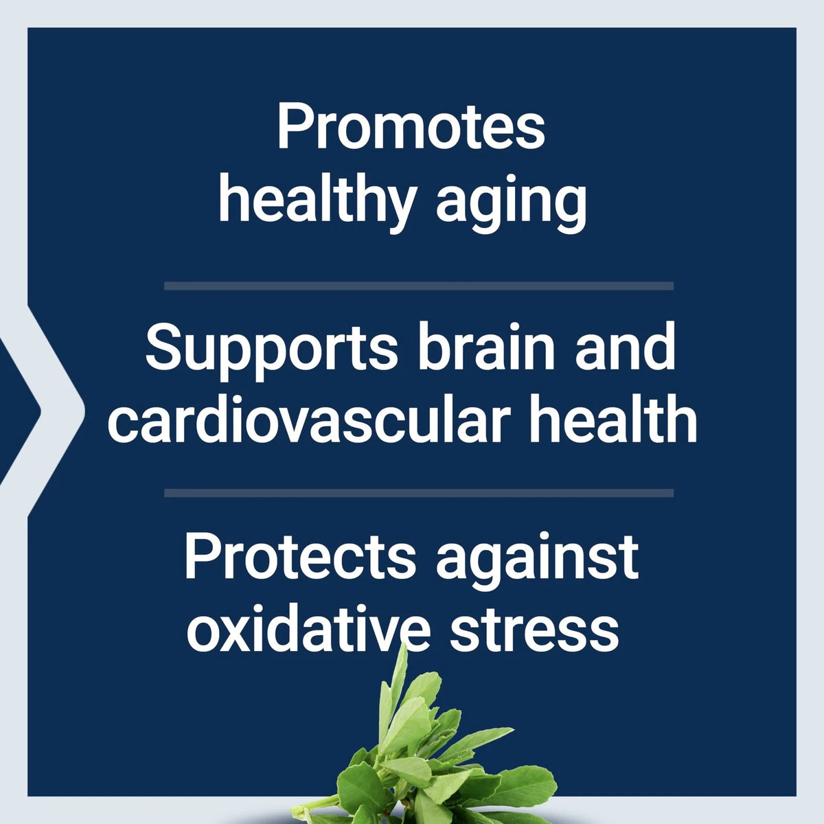 Resveratrol Elite Supplement for Life Extension (30 Count)