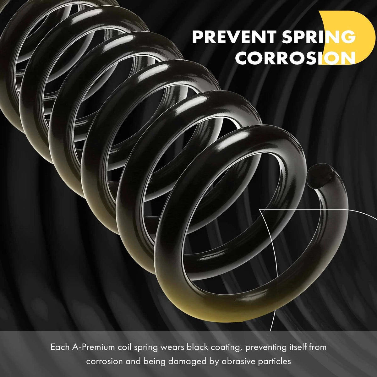 2X Rear Side Coil Springs for Ford Escort (1999–2000, 2002) CC871