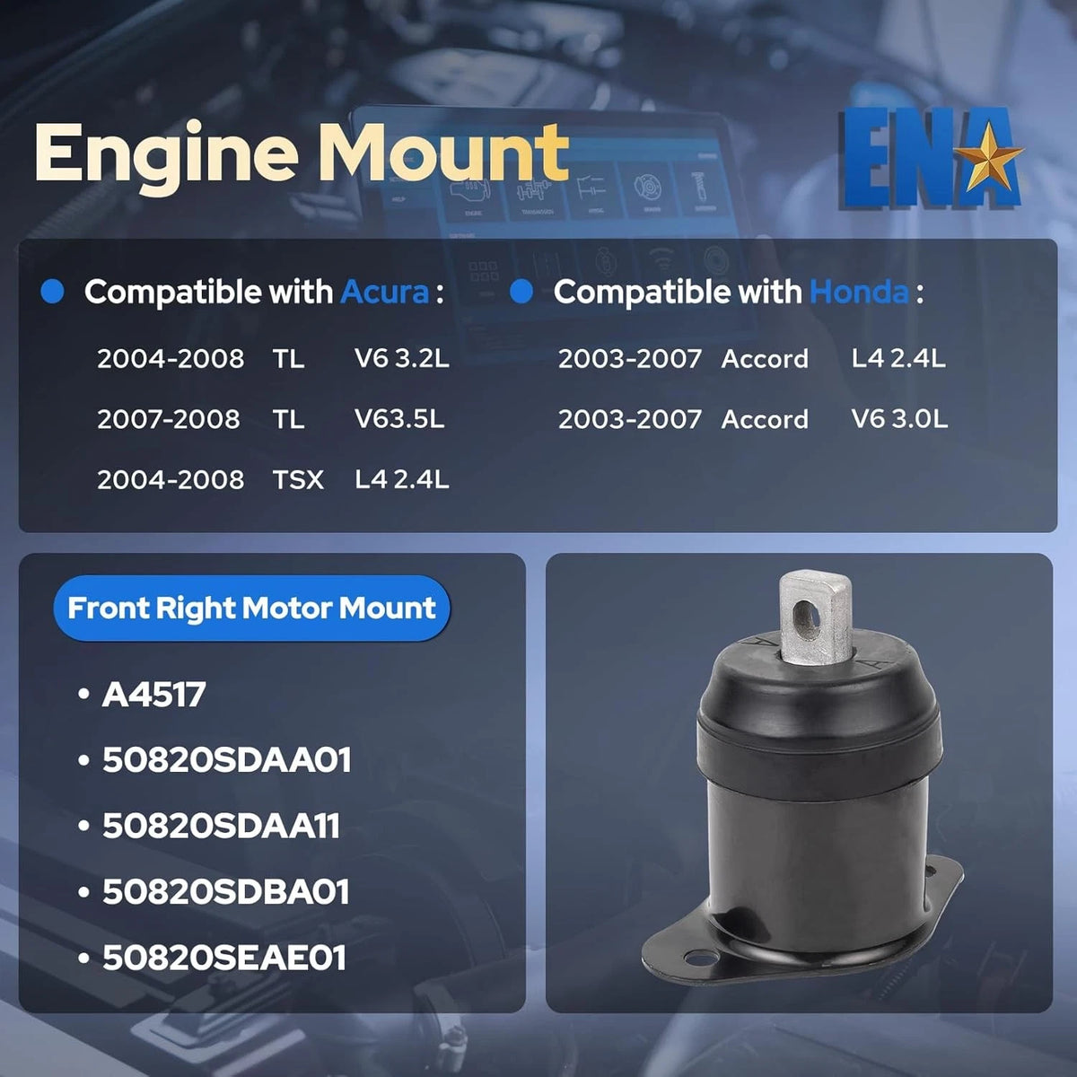 Front Right Engine Mount for Acura Honda TL TSX Accord (MM72013222)