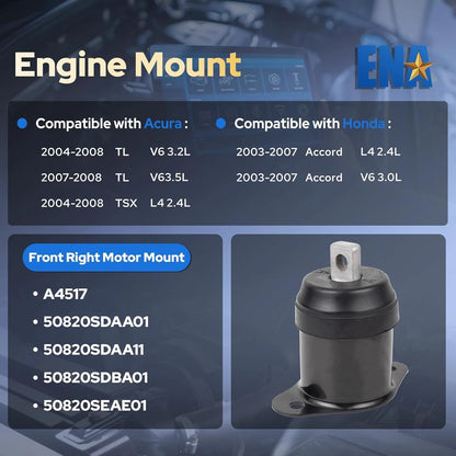 Front Right Engine Mount for Acura Honda TL TSX Accord (MM72013222)