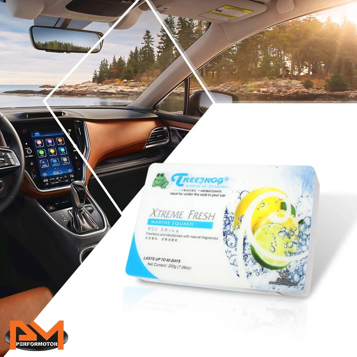 Treefrog Air Freshener for Car Japan (200g, Marine Squash Scent)
