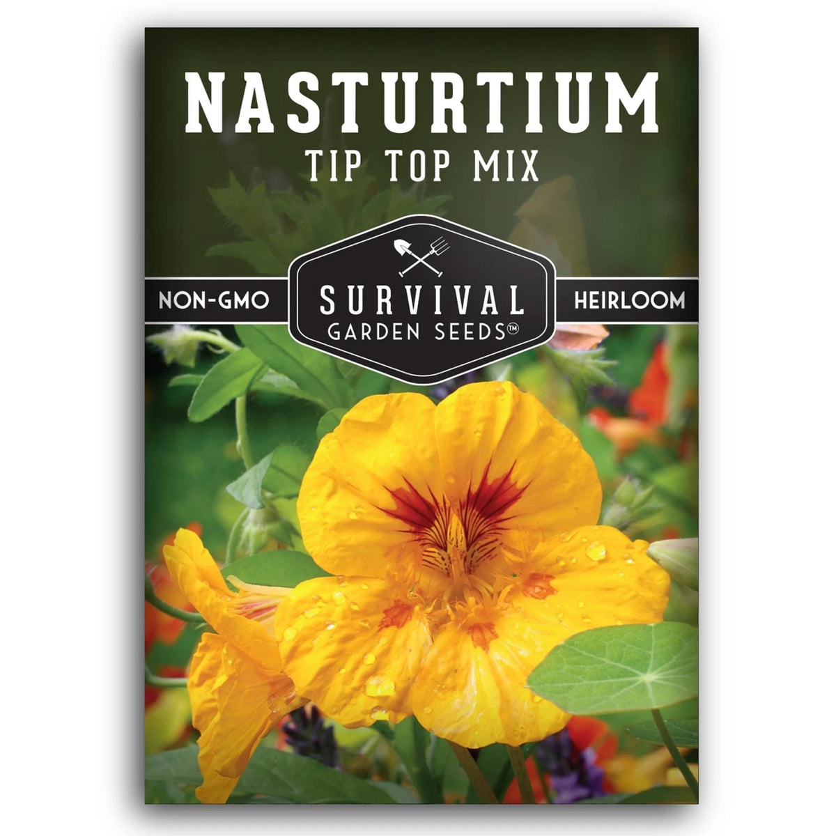 Nasturtium Seeds for Planting Outdoors – Tip Top Mix Heirloom Variety
