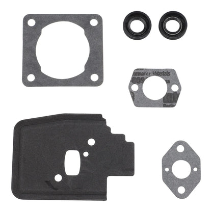 Repair Kit with Gaskets and Seals for FS38 FS45 FS46 FS55 KM55 FC55 MM55 HL45 (No Year)