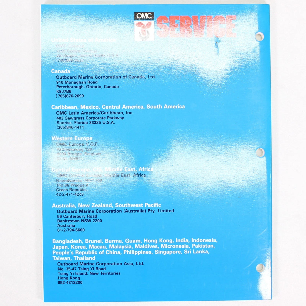 Service Manual for Johnson Evinrude OMC (LSS-3032)