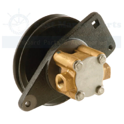 SeaWater Pump for Cummins Onan MDKBH MDKBJ MDKBW QD (4/5 6/7.5 8kW)