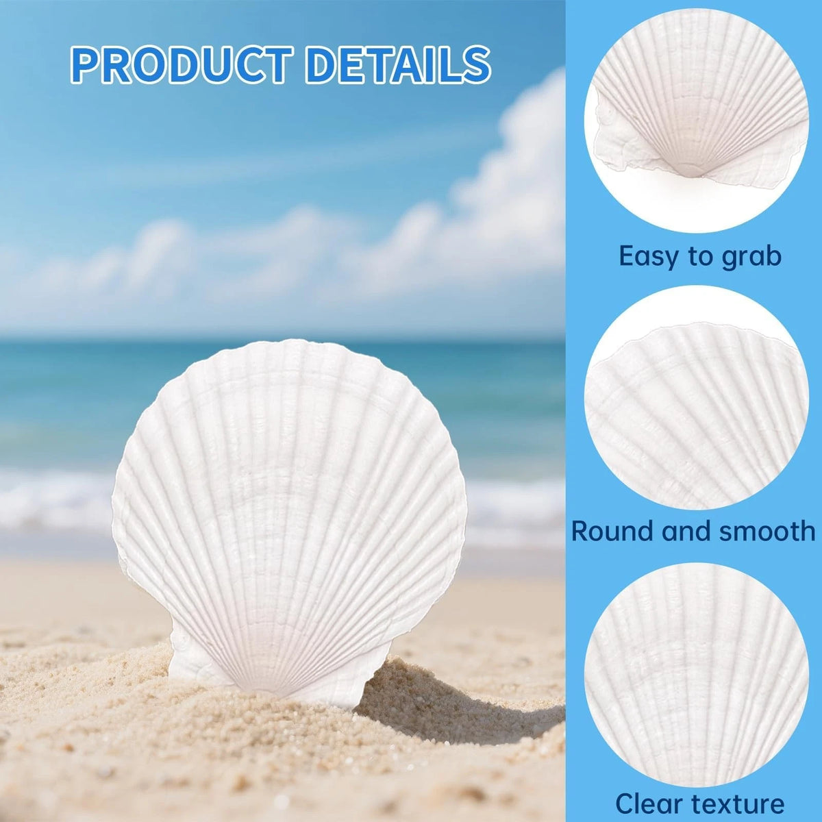 36PCS Natural Scallop Shells for Crafts (2-3 Inch)