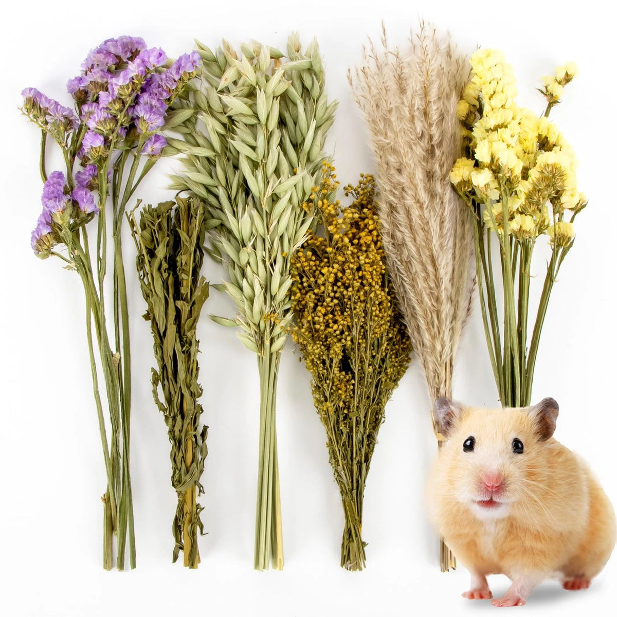 42Pcs Herb Bedding for Hamster Habitat Decor