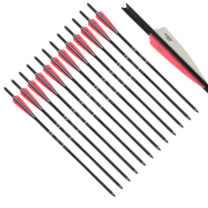 12 Pcs Carbon Crossbow Bolts for Crossbow (20–22 Inch)