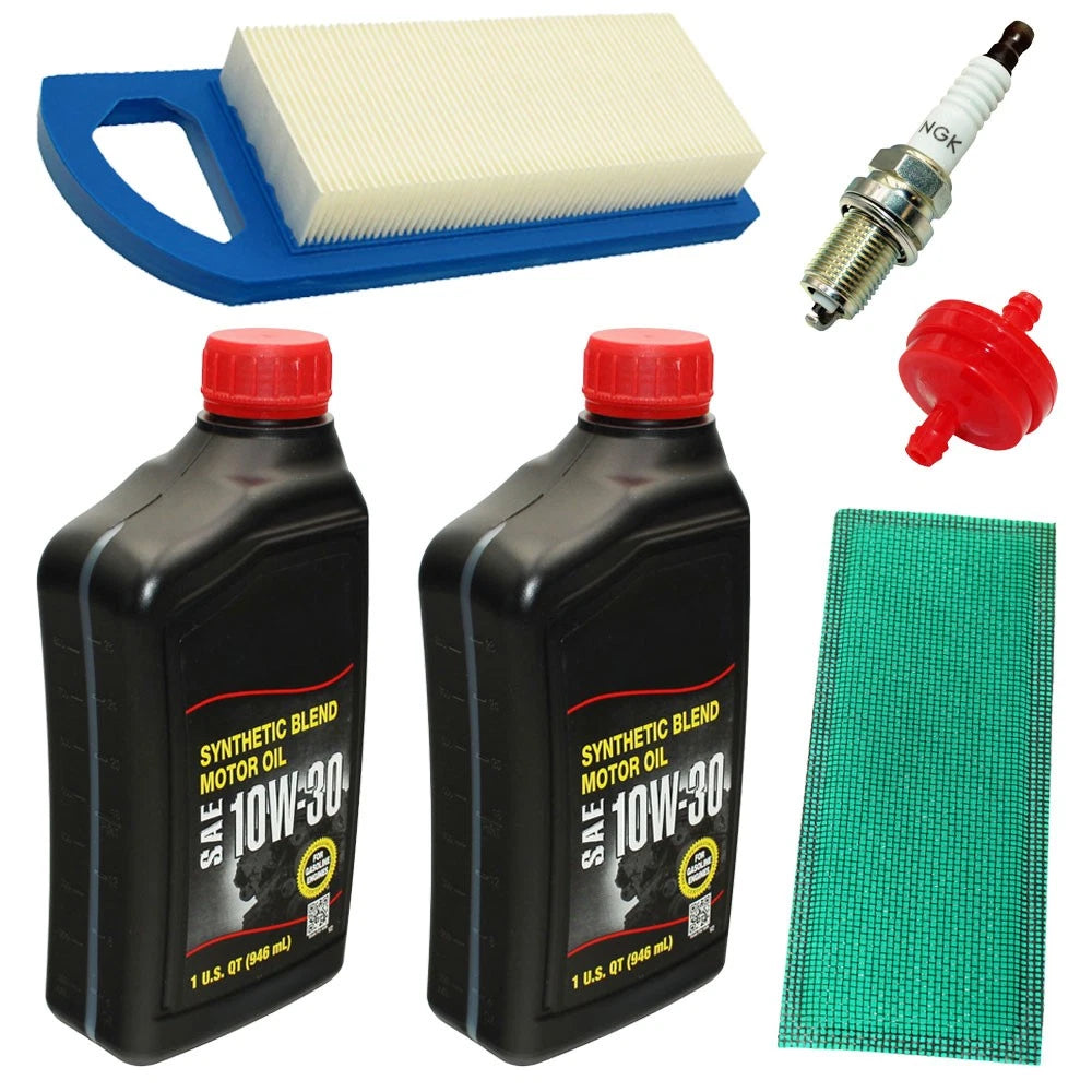 Filter Set with Spark Plugs for Briggs & Stratton