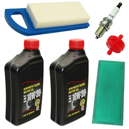Filter Set with Spark Plugs for Briggs & Stratton