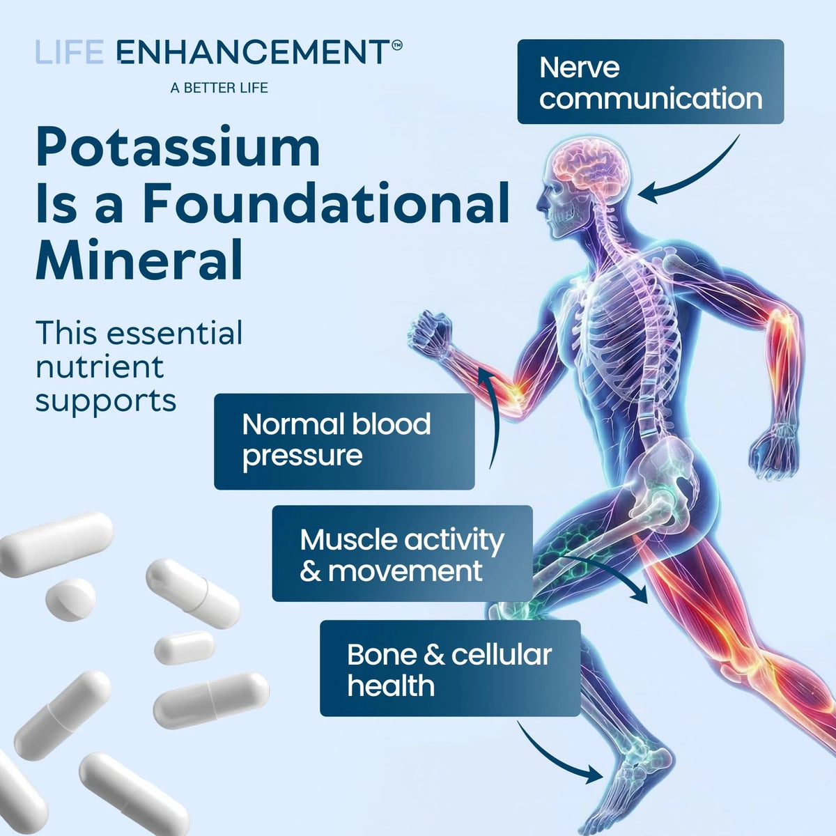 1020 mg Potassium for Life Enhancement (240 Count)