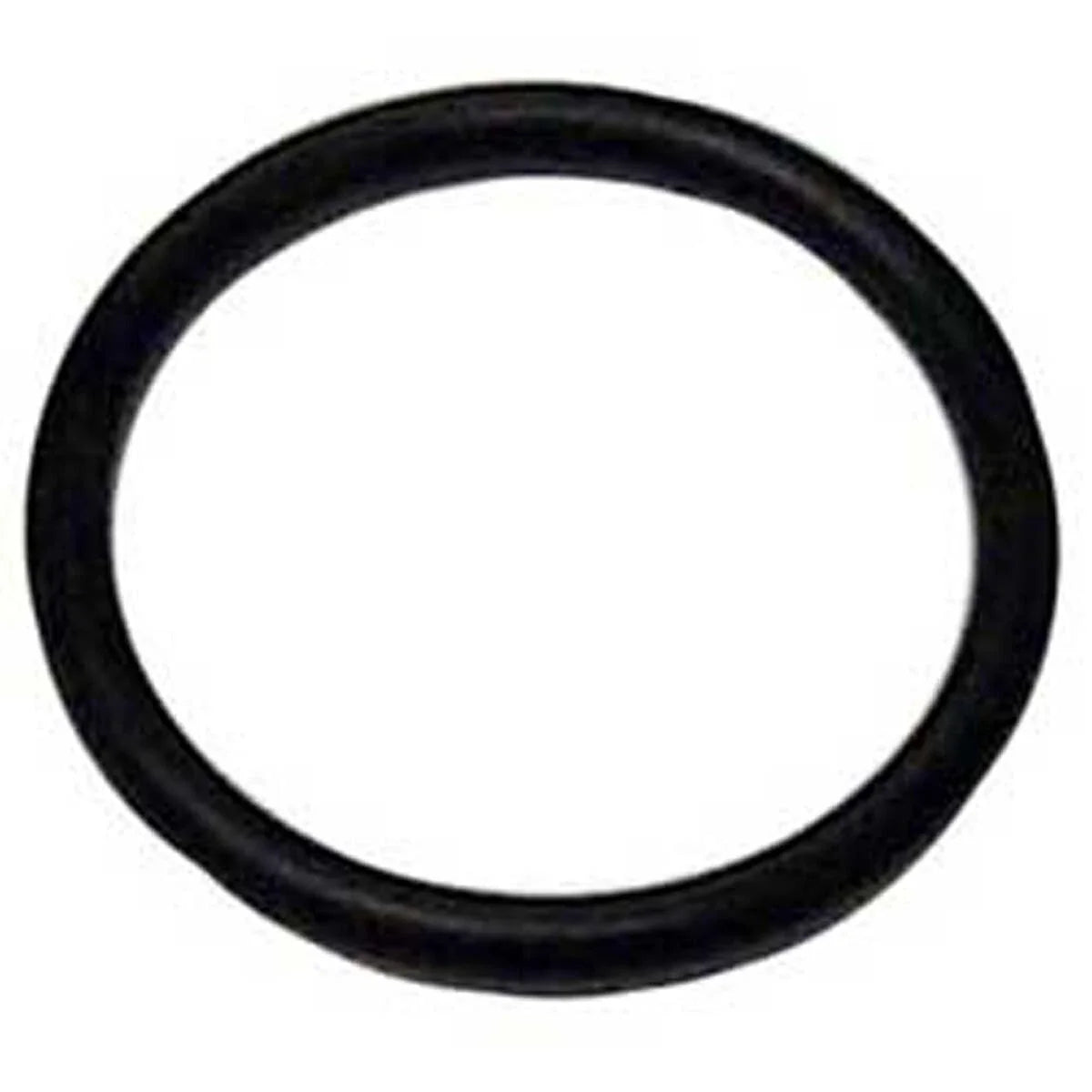 WSM O-Ring for
