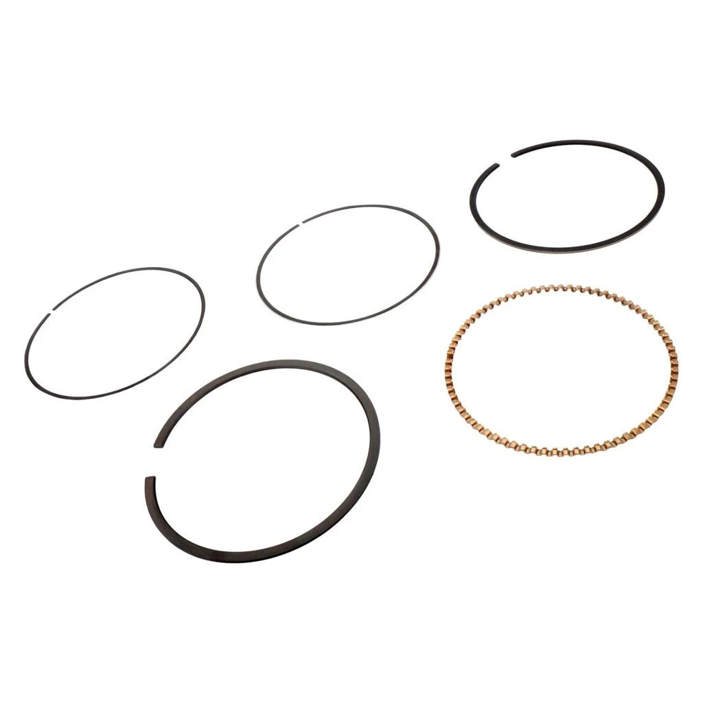 Piston Ring for GMC Jimmy (2005) | 12524205, OLX-ACD12524205-CL360A58