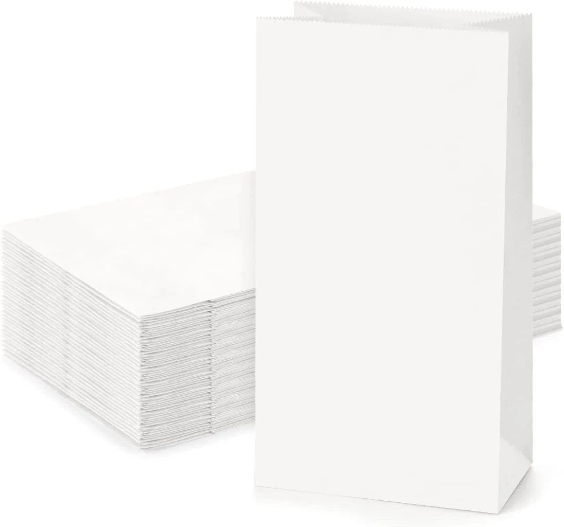 Set of 100 Paper Lunch Bags for Sack Lunches (5x2.95x9.45")